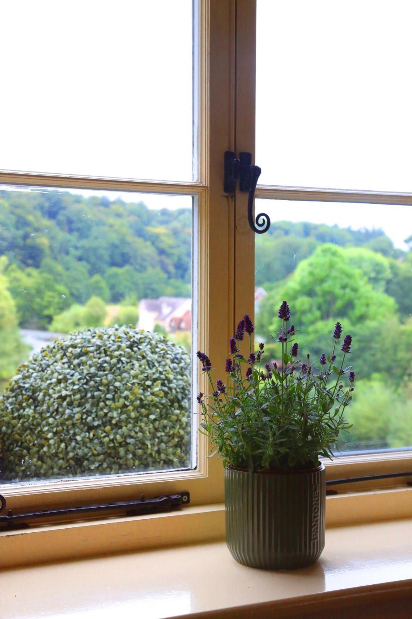 The Charlton Arms Bed & Breakfast Ludlow Eksteriør bilde